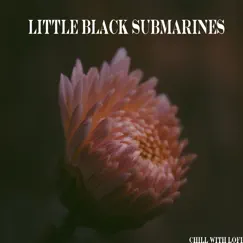 Little Black Submarines Song Lyrics