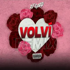 Volví (Remix) - Single by Dj Gaby album reviews, ratings, credits