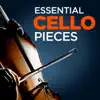 Concerto for Two Cellos in G Minor, RV 531: I. Allegro (Moderato) song lyrics