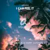 I Can Feel It - Single album lyrics, reviews, download