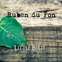 Little Bird - Single by Ruben du Pon album reviews, ratings, credits