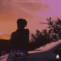 Been Waiting - Single by Sasky Mali album reviews, ratings, credits