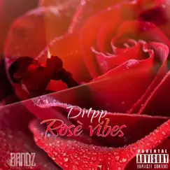 Rosé Vibes by Drippa album reviews, ratings, credits