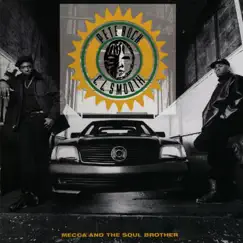 Mecca and the Soul Brother by Pete Rock & C.L. Smooth album reviews, ratings, credits