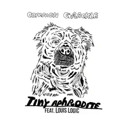 Tiny Aphrodite (feat. Factor Chandelier & Gregory Pepper & His Problems) [Louis Logic Remix] - Single by Common Grackle album reviews, ratings, credits