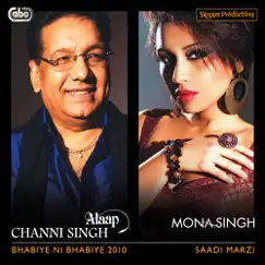 Saadi Marzi (Radio Edit) Song Lyrics