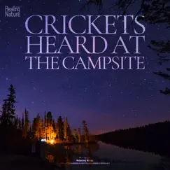 Crickets heard at the campsite Song Lyrics