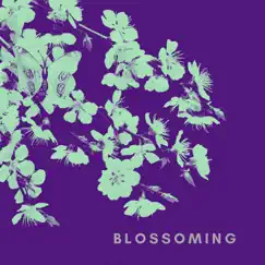 Blossoming by Stardust at 432Hz album reviews, ratings, credits