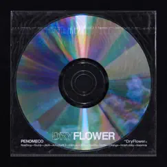 Dry Flower by PENOMECO album reviews, ratings, credits