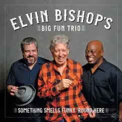 Something Smells Funky 'Round Here by Elvin Bishop album reviews, ratings, credits