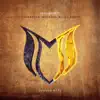 Confession (Michael Milov Remix) - Single album lyrics, reviews, download