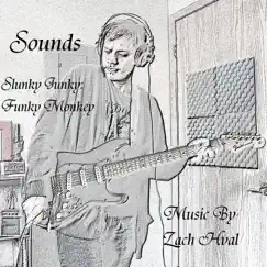 Slunky Junky: Funky, Monkey Song Lyrics