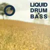 Liquid Drum & Bass Sessions 2021 Vol 47 album lyrics, reviews, download