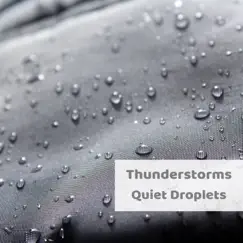 Quiet Droplets by Thunderstorms album reviews, ratings, credits
