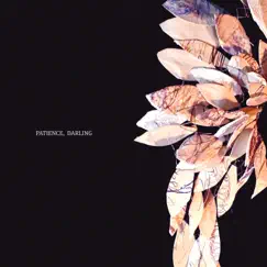 Patience, Darling - Single by NineByNine album reviews, ratings, credits