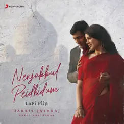 Nenjukkul Peidhidum (Lofi Flip) - Single by Harris Jayaraj, Nakul Abhyankar, Hariharan, Devan Ekambaram & V.V. Prassanna album reviews, ratings, credits