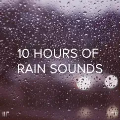 Zen Sounds of Rain Song Lyrics