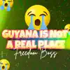 Guyana Is Not a Real Place - Single album lyrics, reviews, download