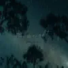 Starry Night (Piano) - Single album lyrics, reviews, download