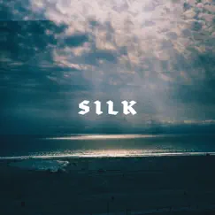 Silk - Single by Seb Zillner & Lazlow album reviews, ratings, credits