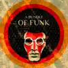 A Bundle of Funk – Funky Jazz Grooves & Acid Jazz to Make Your Day Better, Uplifting Lounge Music album lyrics, reviews, download
