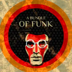 A Bundle of Funk – Funky Jazz Grooves & Acid Jazz to Make Your Day Better, Uplifting Lounge Music by Dennis Robinson album reviews, ratings, credits