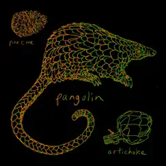 Pangolin - Single by Artichoke album reviews, ratings, credits