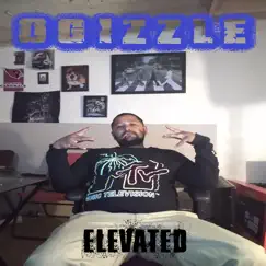 Elevated by Ogizzle album reviews, ratings, credits