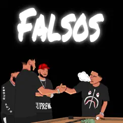 Falsos - Single by Designó album reviews, ratings, credits
