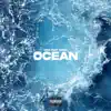 Ocean (feat. Norm) - Single album lyrics, reviews, download