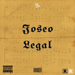 Joseo Legal Song Lyrics