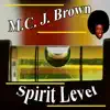 Spirit Level album lyrics, reviews, download