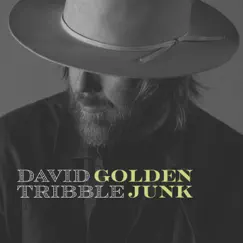 Golden Junk by David Tribble album reviews, ratings, credits