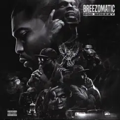 BreezoMatic by 600breezy album reviews, ratings, credits