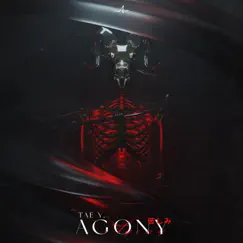 Agony - Single by Tae Yamada album reviews, ratings, credits