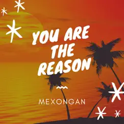 You Are the Reason - Single by Mexongan album reviews, ratings, credits