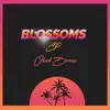 Blossoms - Single album lyrics, reviews, download