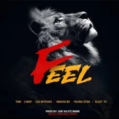 Feel (feat. Leo bx, Waxxa bx, Jay wap, Eliot tx, TNB alienboy & Young star marley) Song Lyrics
