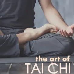 The Art of Tai Chi - New Age Background for Depression Relief, Deep Relaxation Exercises by Tai Chi Chuan album reviews, ratings, credits