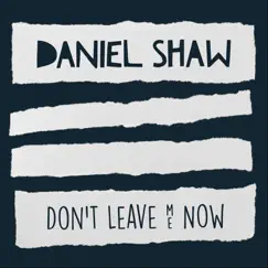 Don't Leave Me Now - Single by Daniel Shaw album reviews, ratings, credits