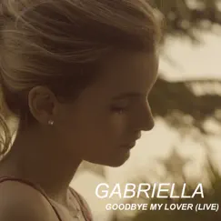 Goodbye My Lover (Live) Song Lyrics