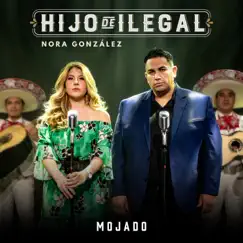 Mojado Song Lyrics