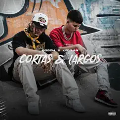 Cortas y Largos Song Lyrics