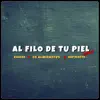 Al Filo de Tu Piel (Remix) - Single album lyrics, reviews, download