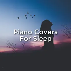Never Really over (Relaxing Piano) Song Lyrics
