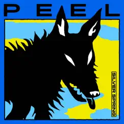 Silver Spring - Single by PEEL album reviews, ratings, credits