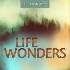 Life Wonders by Plan 8 album reviews, ratings, credits