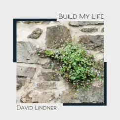 Build My Life (Solo Piano Instrumental) - Single by David Lindner album reviews, ratings, credits