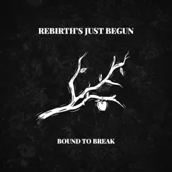 Rebirth Song Lyrics