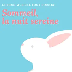 Sommeil, la nuit sereine - Le fond musical pour dormir profondement toute la nuit by Various Artists album reviews, ratings, credits